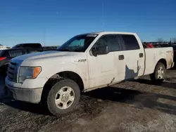 Ford salvage cars for sale: 2012 Ford F150 Supercrew