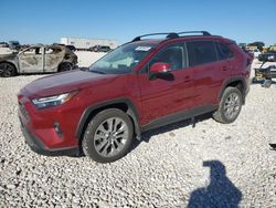 Toyota rav4 xle Premium salvage cars for sale: 2024 Toyota Rav4 XLE Premium