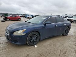 Salvage cars for sale at Houston, TX auction: 2013 Nissan Maxima S