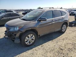 2014 Honda CR-V EXL en venta en Antelope, CA