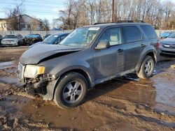 Salvage cars for sale from Copart Chalfont, PA: 2011 Ford Escape XLT