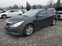 Clean Title Cars for sale at auction: 2014 Hyundai Sonata GLS