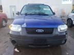 2006 Ford Escape XLT