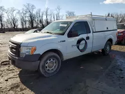 Ford F150 salvage cars for sale: 2013 Ford F150