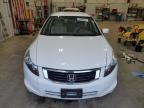 2010 Honda Accord LXP