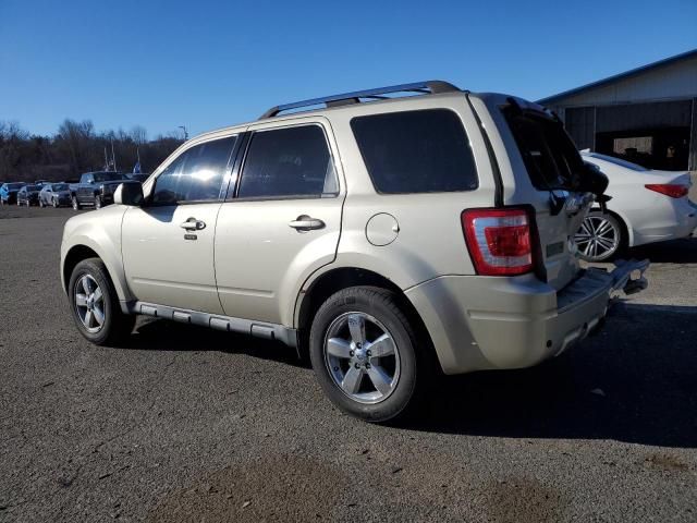 2010 Ford Escape Limited