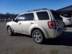 2010 Ford Escape Limited