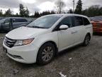 2015 Honda Odyssey EXL