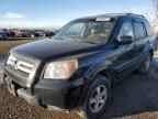 2008 Honda Pilot EXL