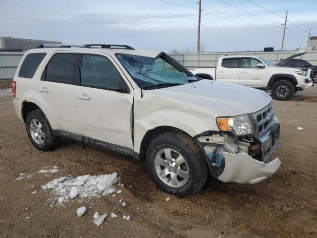 2009 Ford Escape Limited