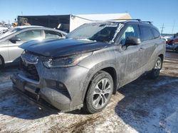 Salvage cars for sale at Brighton, CO auction: 2021 Toyota Highlander XLE