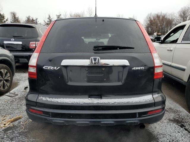 2010 Honda CR-V EXL