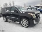 2017 Cadillac Escalade Premium Luxury