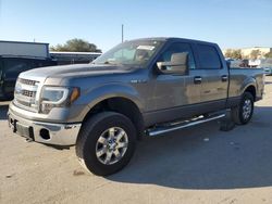 Ford f150 Supercrew salvage cars for sale: 2013 Ford F150 Supercrew