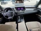 2019 Lexus ES 300H