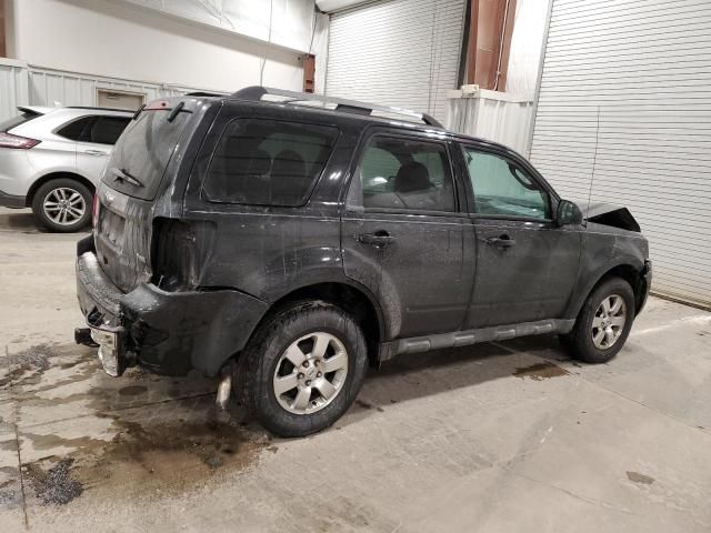 2010 Ford Escape Limited