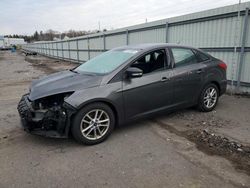 Salvage cars for sale at Pennsburg, PA auction: 2016 Ford Focus SE