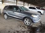 2014 Mercedes-Benz ML 350