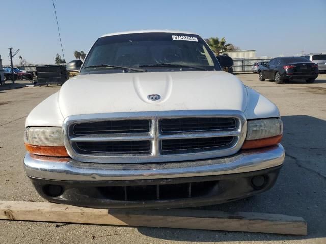 2001 Dodge Dakota Quattro