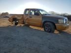 2007 Dodge Dakota SLT