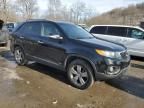 2013 KIA Sorento EX