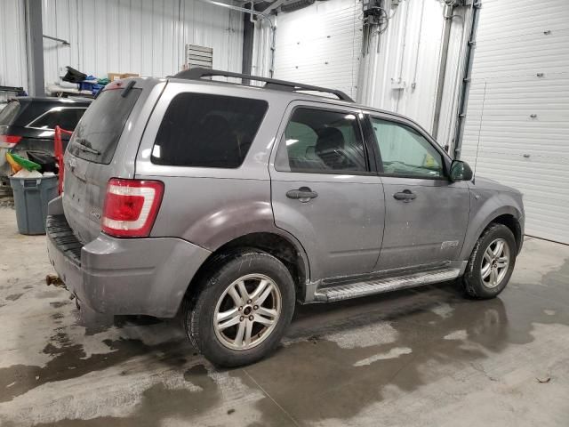 2008 Ford Escape XLT