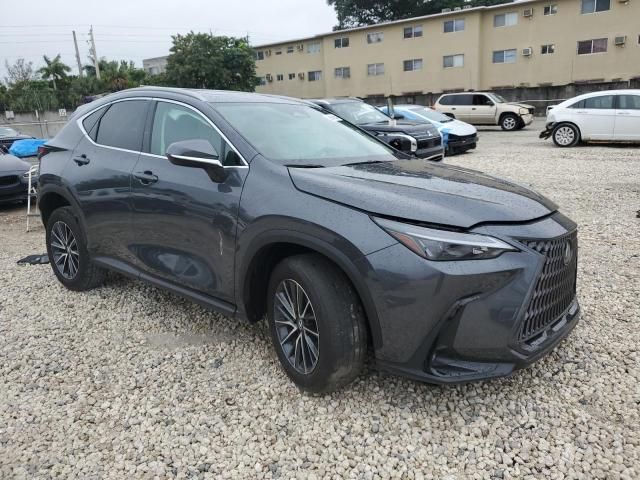 2024 Lexus NX 250 Base