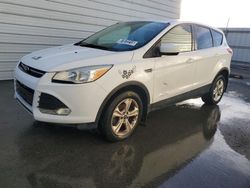 Vehiculos salvage en venta de Copart San Diego, CA: 2015 Ford Escape SE