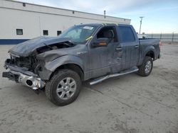 Ford salvage cars for sale: 2013 Ford F150 Supercrew