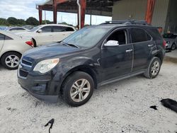 Salvage cars for sale at Homestead, FL auction: 2010 Chevrolet Equinox LT