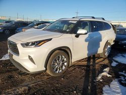 Salvage cars for sale at Brighton, CO auction: 2023 Toyota Highlander L