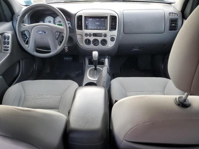 2005 Ford Escape XLT