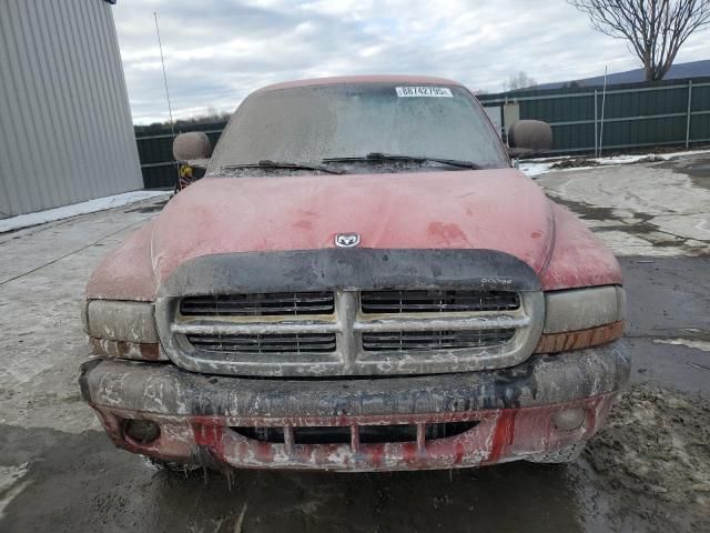 1999 Dodge Dakota