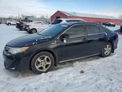 Toyota Camry Hybrid salvage cars for sale: 2014 Toyota Camry Hybrid