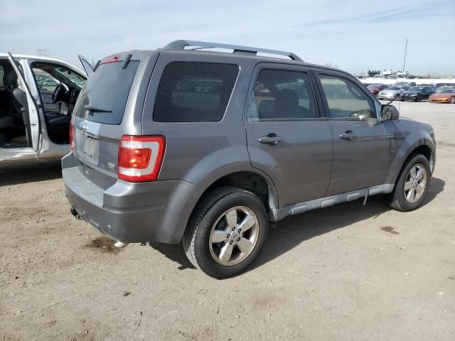 2010 Ford Escape Limited