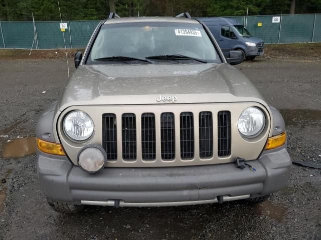 2005 Jeep Liberty Renegade