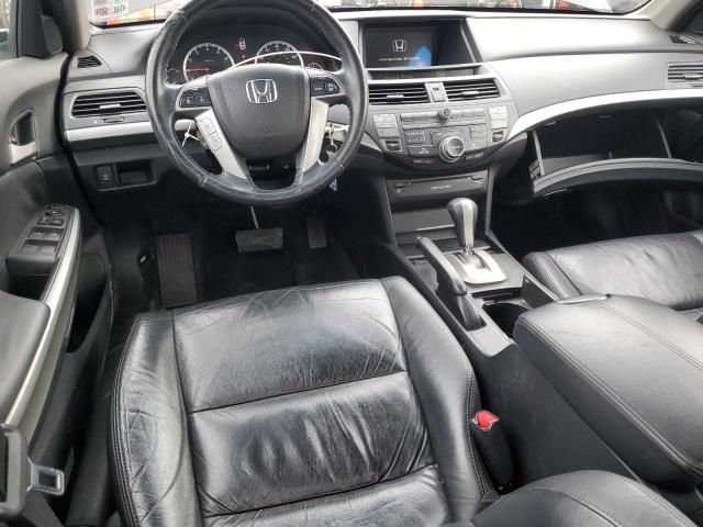 2009 Honda Accord EXL