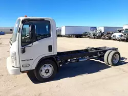 Isuzu salvage cars for sale: 2024 Isuzu NPR HD