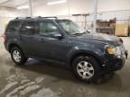 2009 Ford Escape Limited