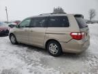 2005 Honda Odyssey EXL