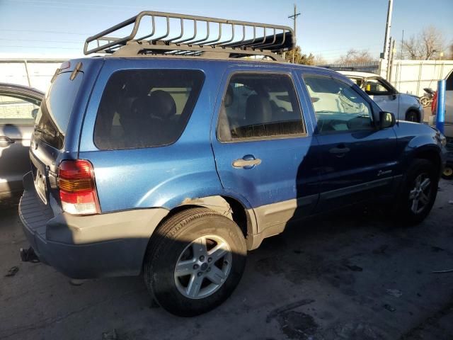 2007 Ford Escape HEV