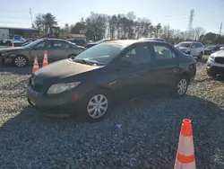 Salvage cars for sale at Mebane, NC auction: 2010 Toyota Corolla Base