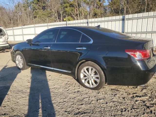 2010 Lexus ES 350