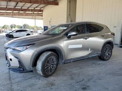 Lexus nx 250 pre salvage cars for sale: 2024 Lexus NX 250 Premium