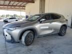 2024 Lexus NX 250 Premium