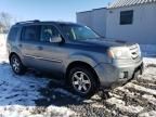 2009 Honda Pilot Touring