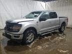 2024 Ford F150 XLT