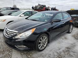 Hyundai Sonata salvage cars for sale: 2013 Hyundai Sonata SE