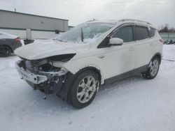 Salvage cars for sale at Leroy, NY auction: 2014 Ford Escape Titanium