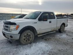 Salvage cars for sale at Barberton, OH auction: 2013 Ford F150 Super Cab